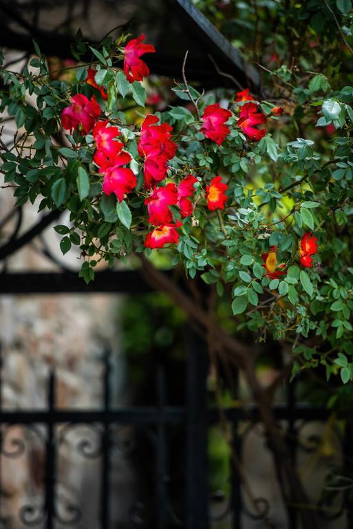 Mulberry House Villa Ситония Екстериор снимка